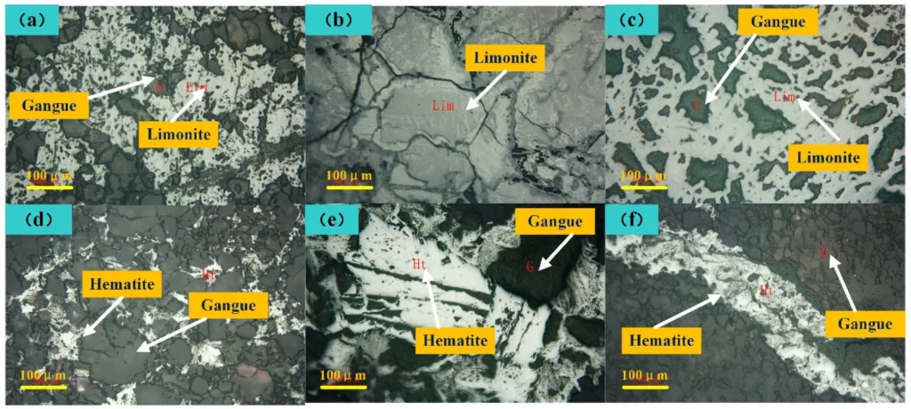 Microscope images showing mineral associations in a limonite ore sample